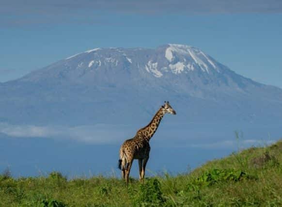 Tanzania Safari With Italian Speaking Guide