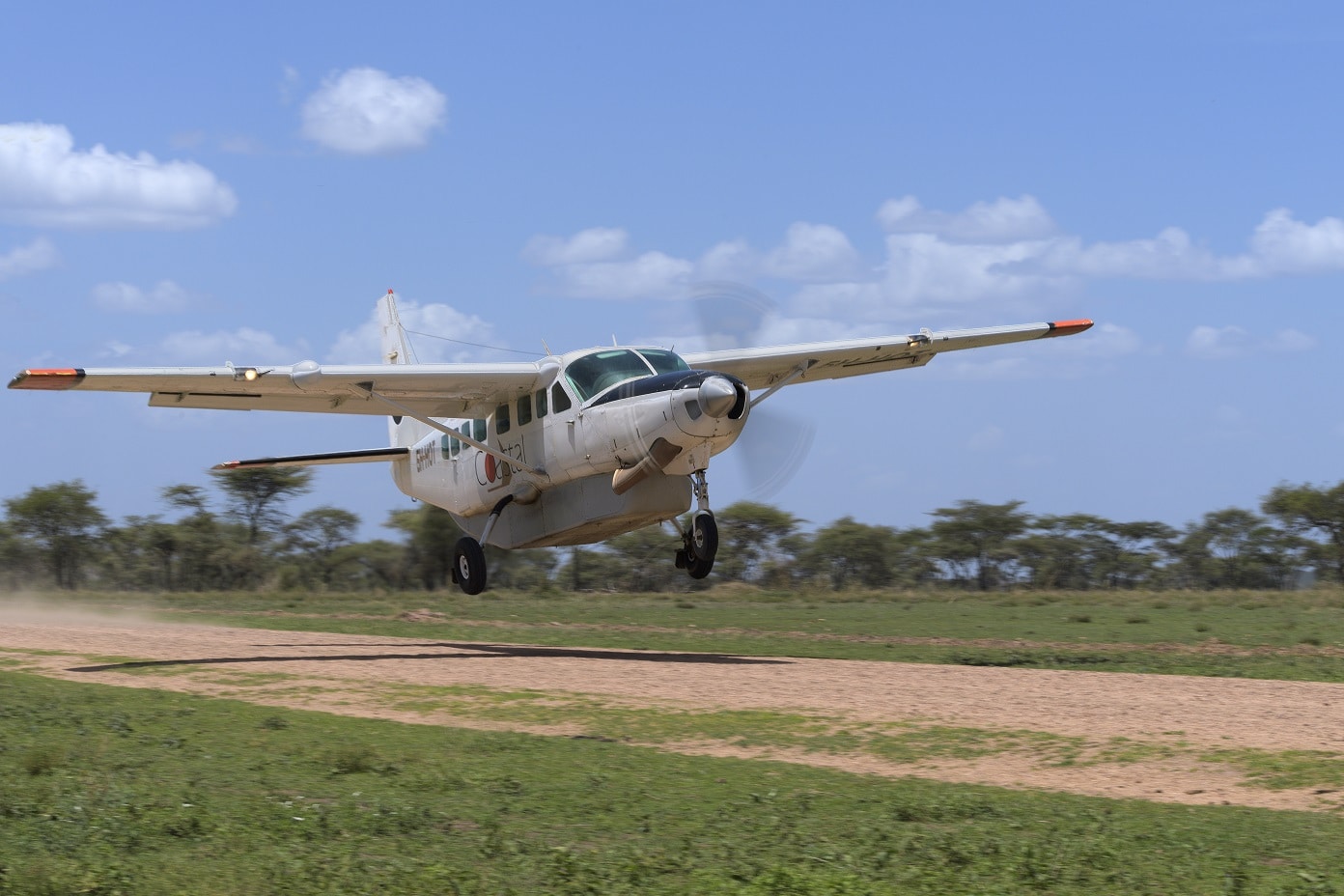 Tanzania Safari