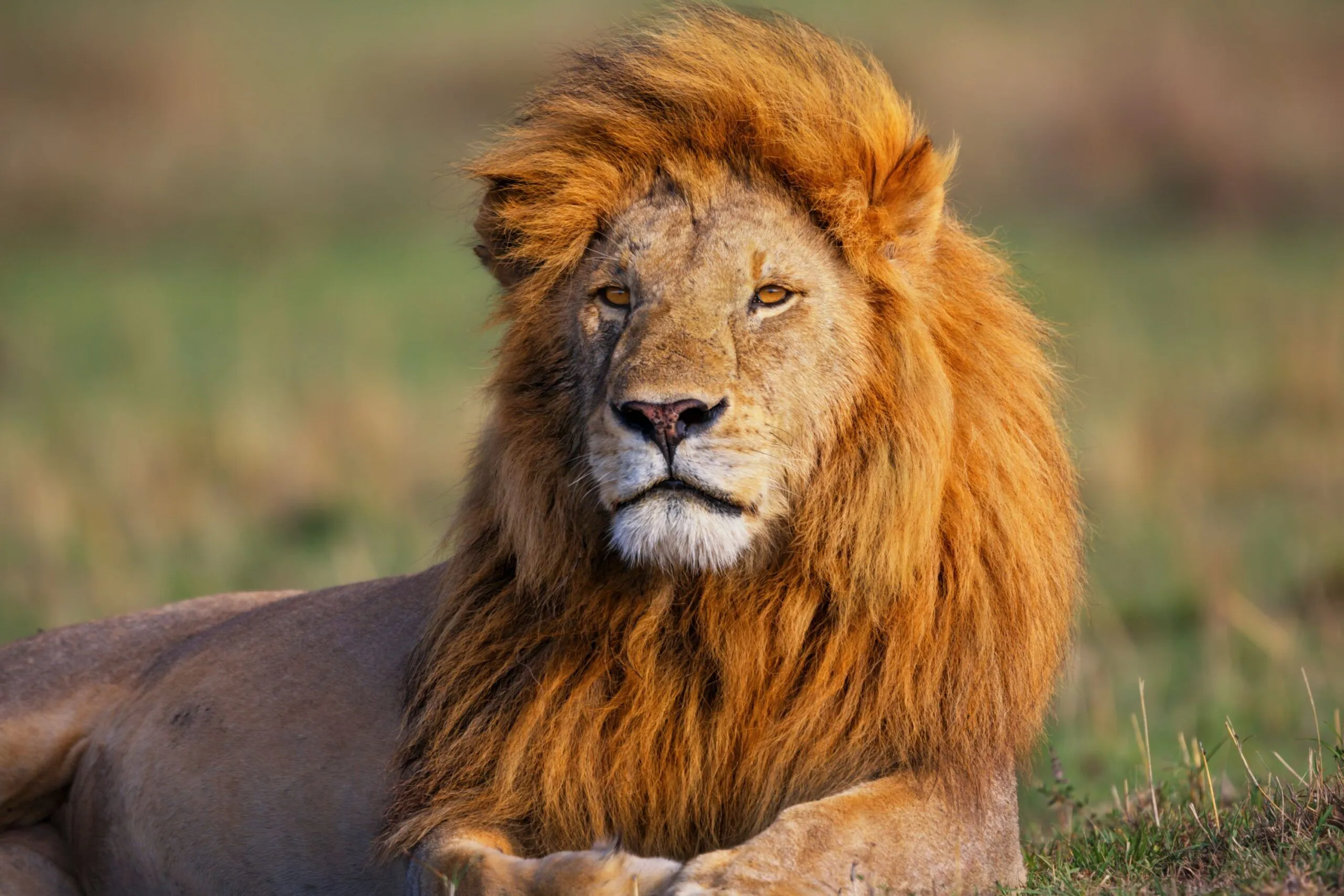 Trip-To-Tanzania